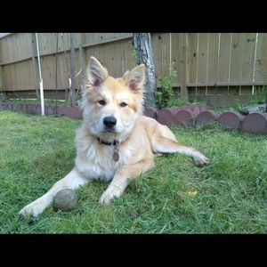 Meet your Posher, Libby